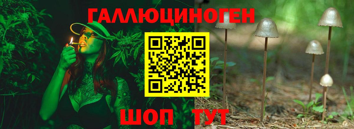 Псилоцибиновые грибы GOLDEN TEACHER Богородск