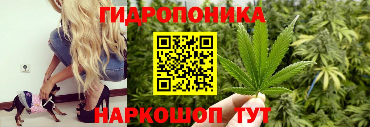 МАРИХУАНА планчик  Каннабис тримм  Вход с VPN  Богородск  Бошки марихуана Amnesia  Шишки марихуана конопля 
